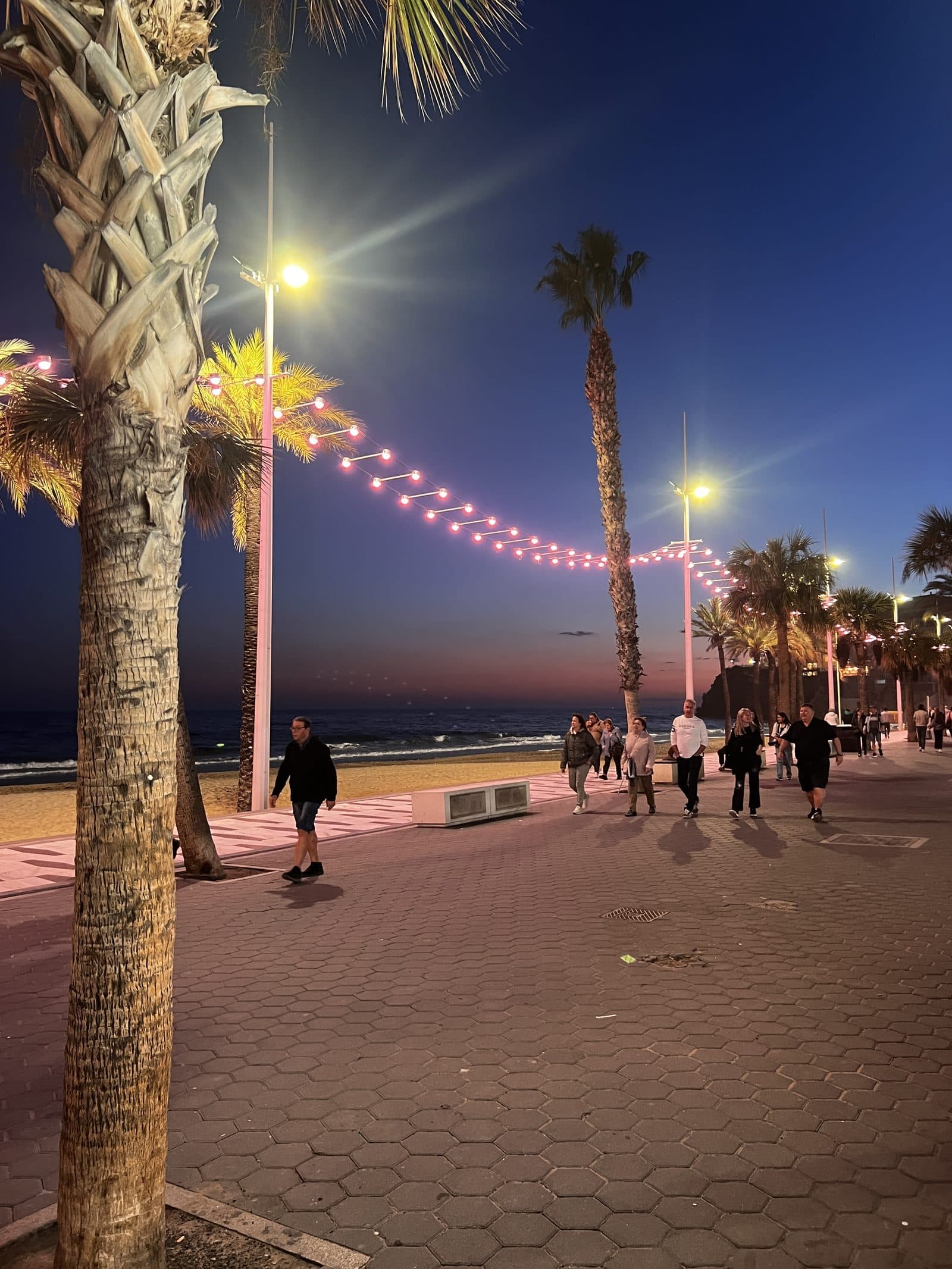 Benidorm promenade at dusk with fairy lights wrapped around palm trees