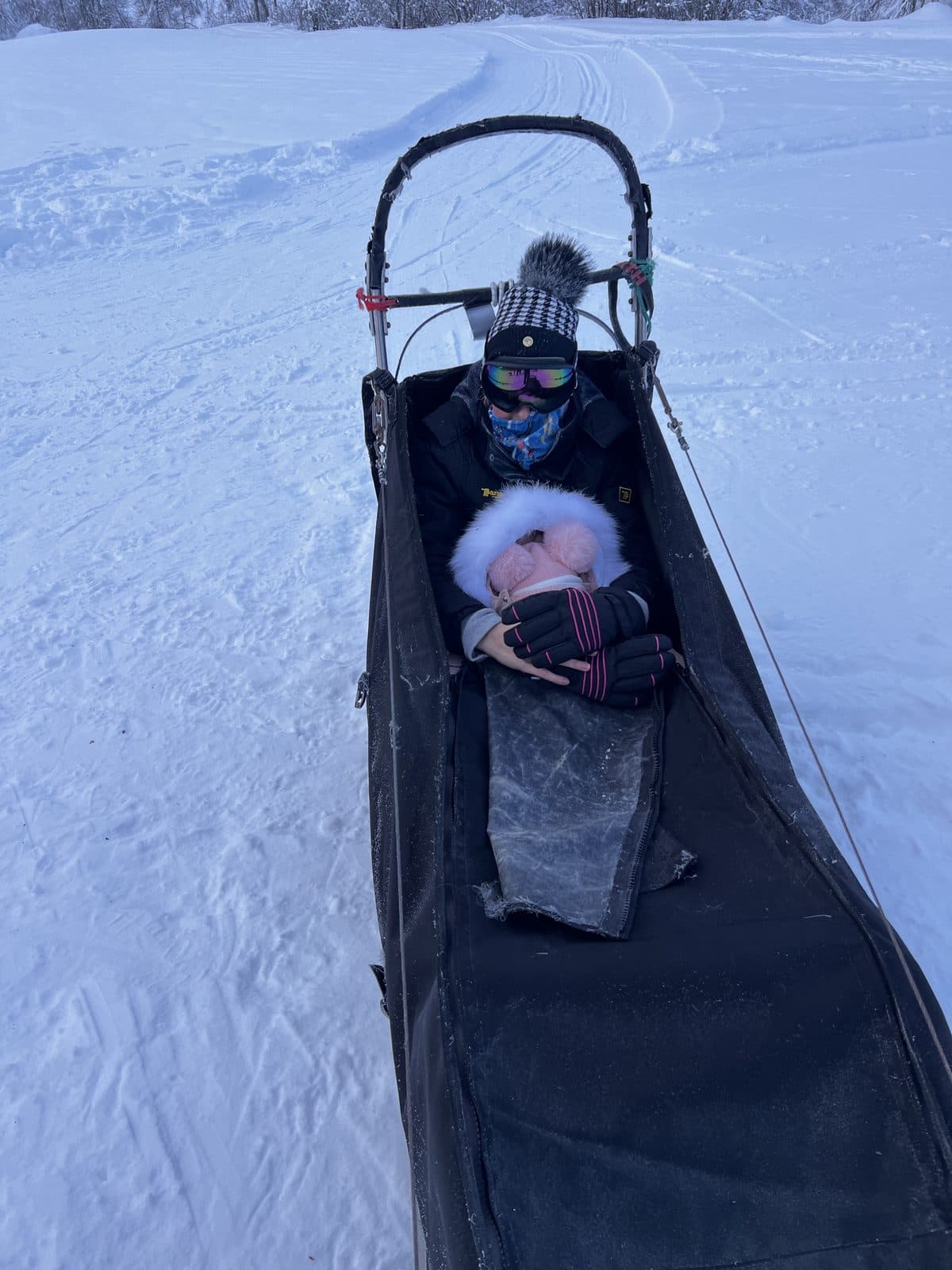 Mum and baby bundled up in a husky sled in Myrkdalen Norway wrapped in reindeer skin