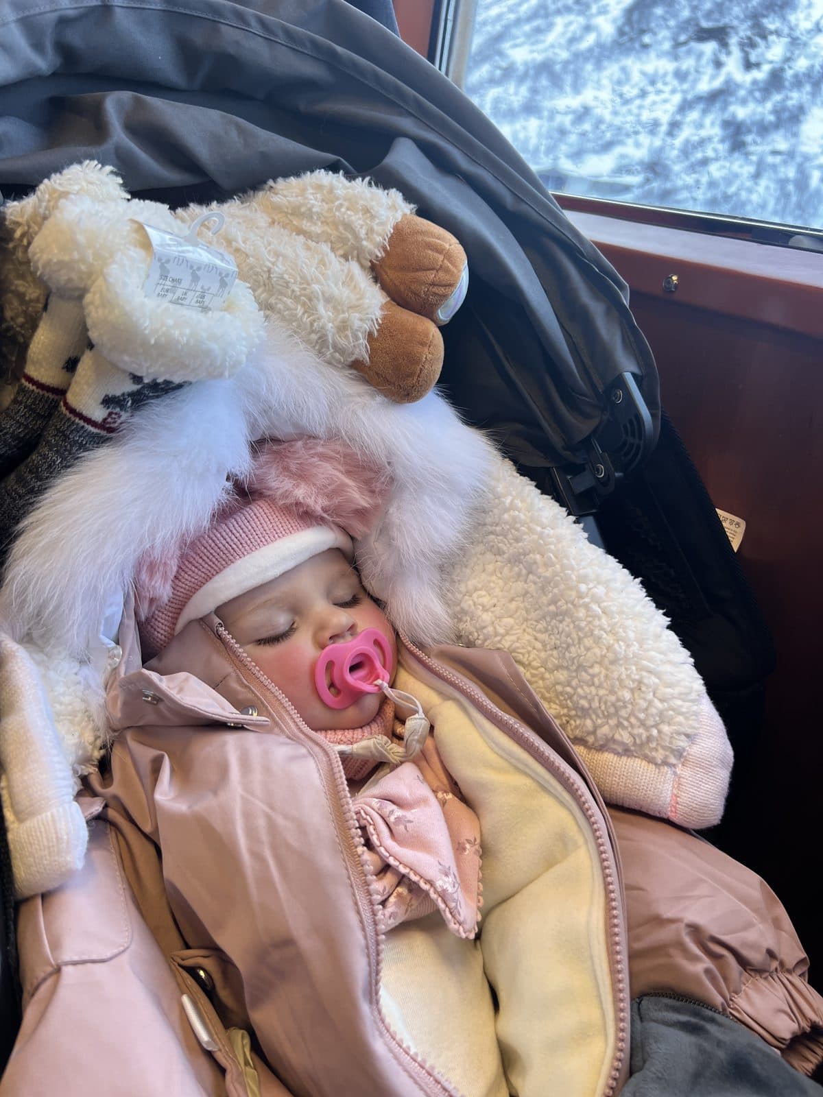 Baby sleeping in pram on the Flamsbana train in Norway bundled up with teddy bear