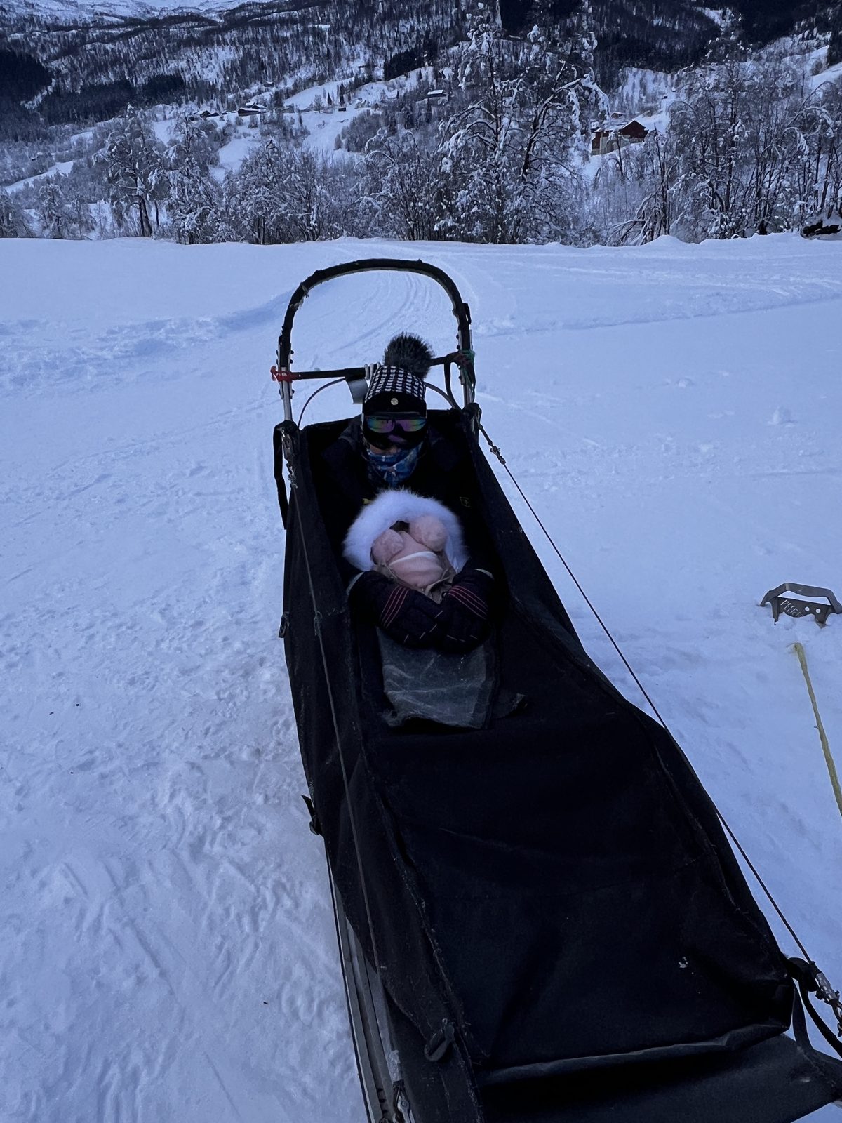 Husky sled on a snowy trail through the Norwegian countryside near Myrkdalen ski resort