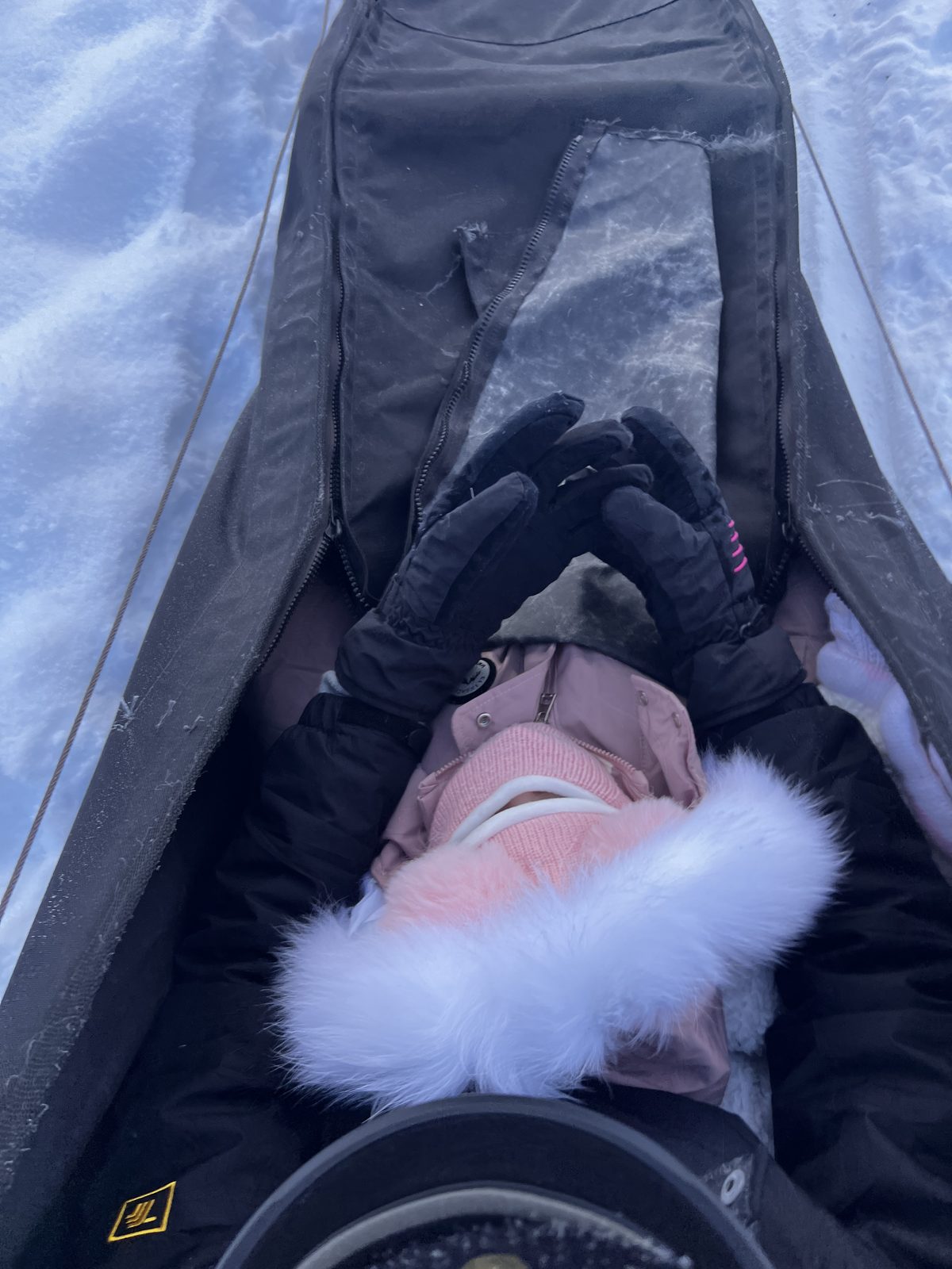 13-month-old baby fast asleep in a husky sled in Norway bundled up warm